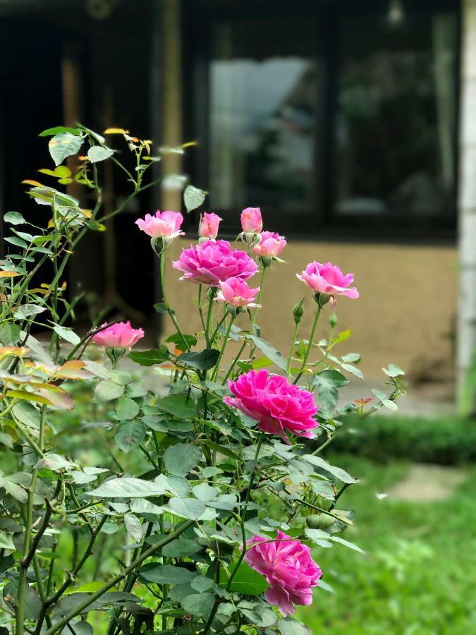 נין בין May Homestay - Tam Coc Local Village מראה חיצוני תמונה