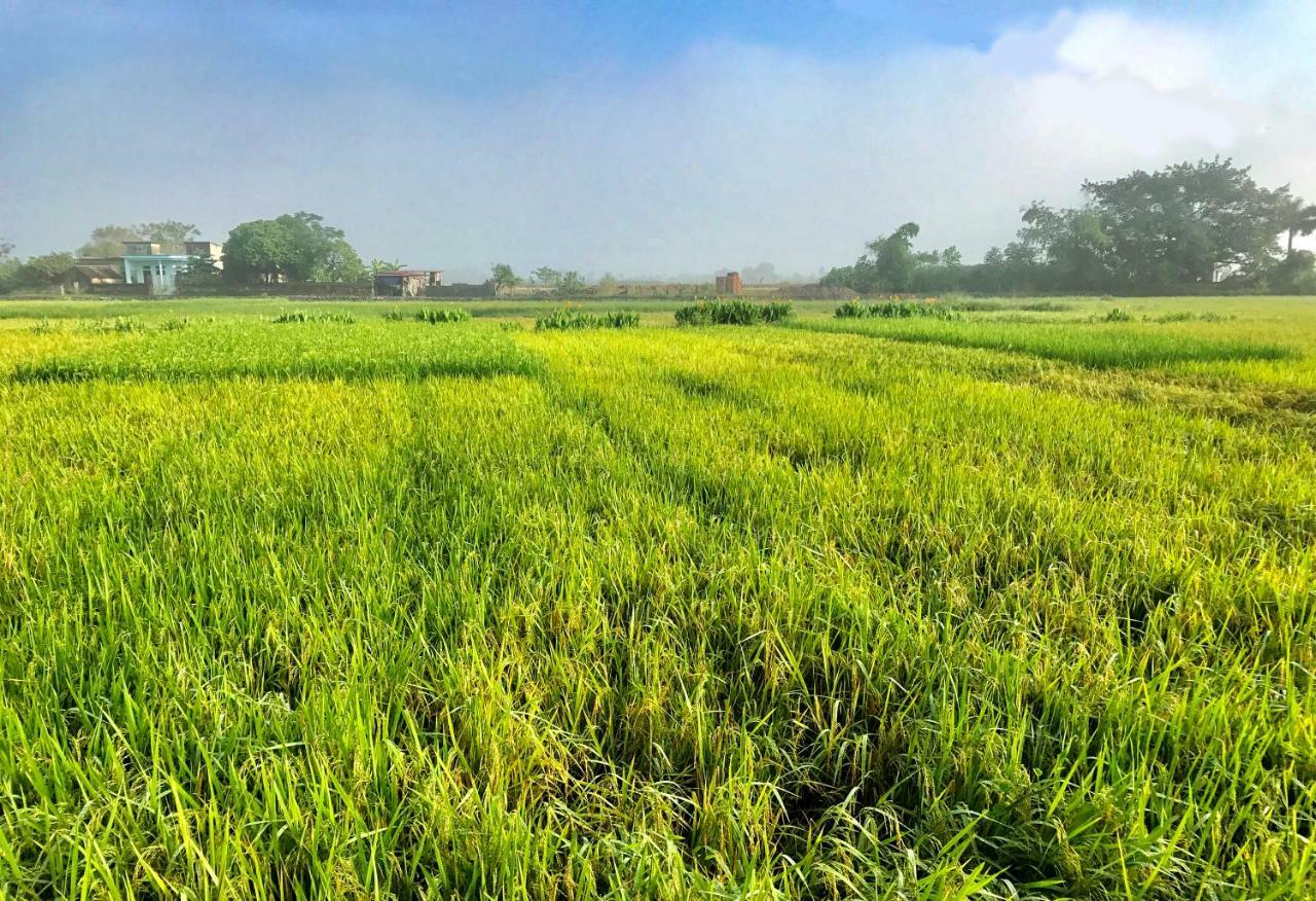 נין בין May Homestay - Tam Coc Local Village מראה חיצוני תמונה