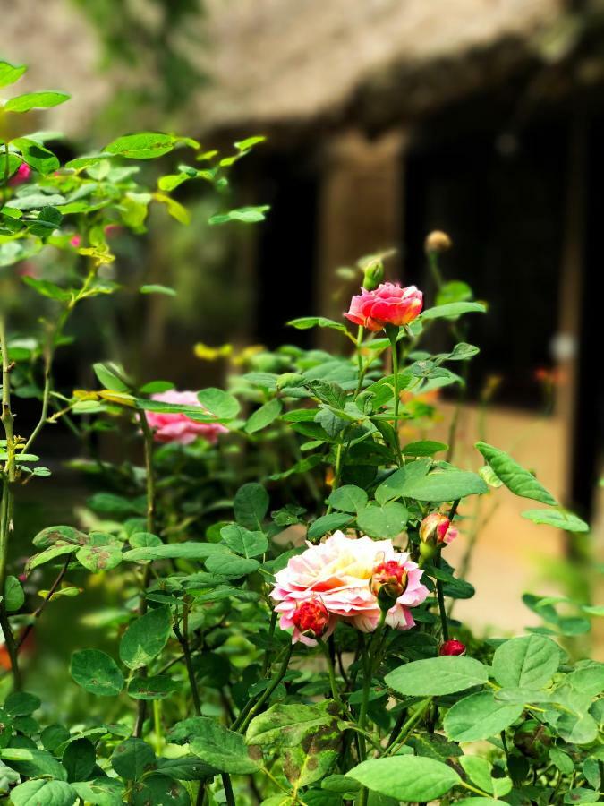 נין בין May Homestay - Tam Coc Local Village מראה חיצוני תמונה