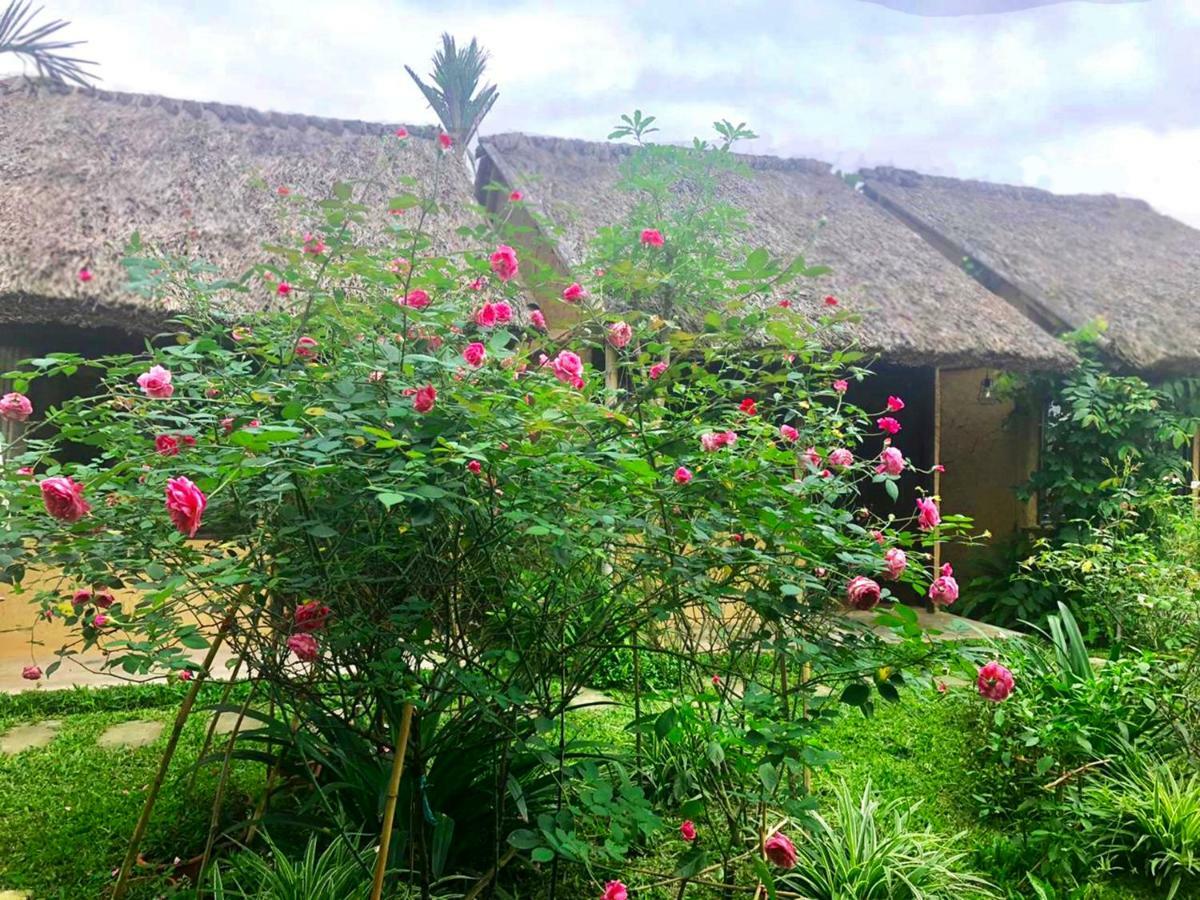 נין בין May Homestay - Tam Coc Local Village מראה חיצוני תמונה